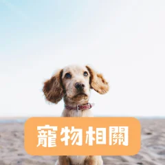 寵物相關